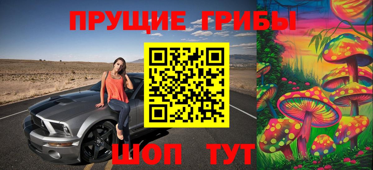 Псилоцибиновые грибы Psilocybine cubensis Шахты